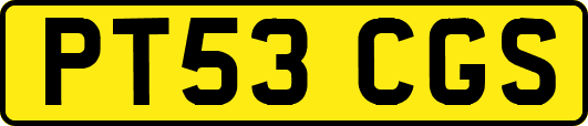 PT53CGS