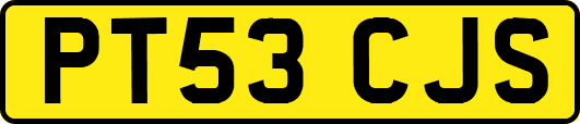 PT53CJS
