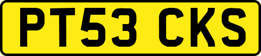 PT53CKS