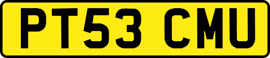 PT53CMU