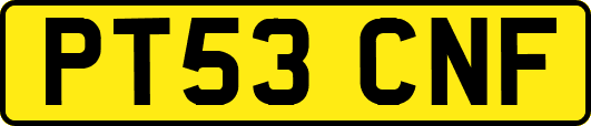 PT53CNF