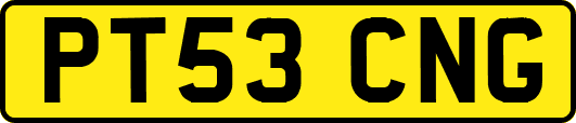 PT53CNG