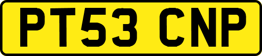 PT53CNP