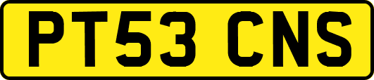 PT53CNS