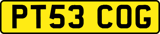 PT53COG