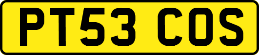 PT53COS