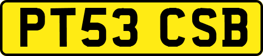 PT53CSB