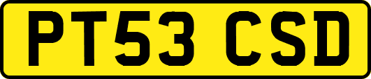 PT53CSD