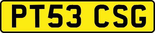 PT53CSG