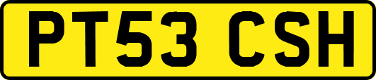PT53CSH