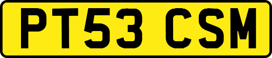 PT53CSM