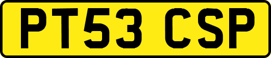 PT53CSP