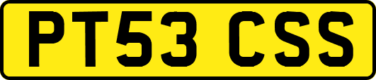 PT53CSS