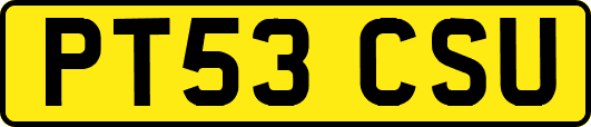 PT53CSU
