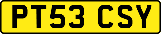 PT53CSY