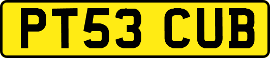 PT53CUB