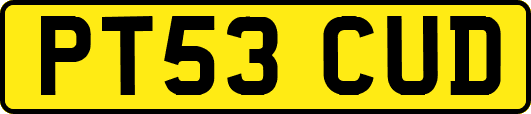 PT53CUD