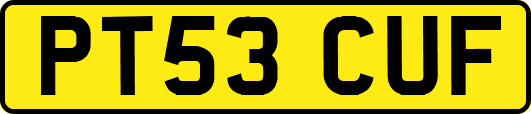 PT53CUF