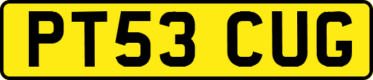 PT53CUG