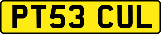 PT53CUL