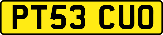 PT53CUO