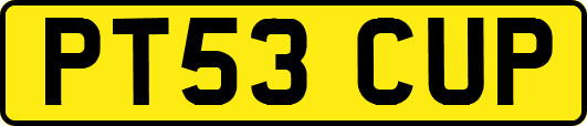 PT53CUP