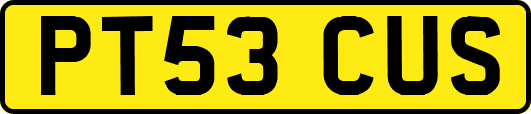 PT53CUS