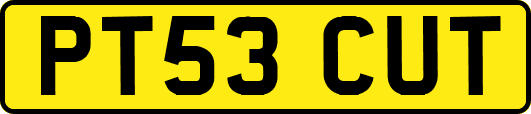 PT53CUT
