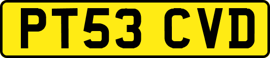 PT53CVD
