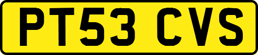 PT53CVS