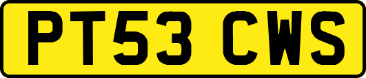 PT53CWS