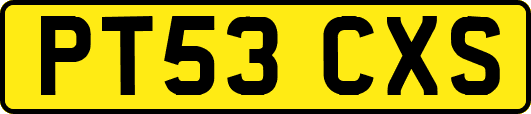 PT53CXS