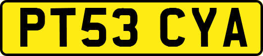 PT53CYA