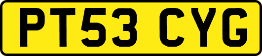 PT53CYG