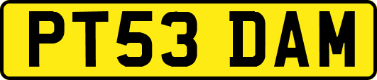 PT53DAM