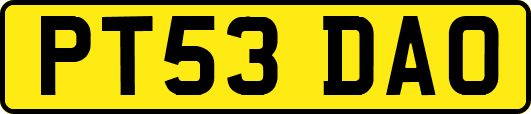 PT53DAO