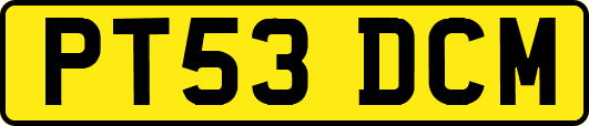 PT53DCM