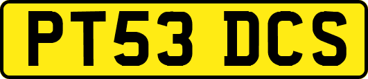 PT53DCS