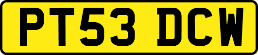 PT53DCW