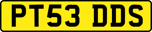 PT53DDS