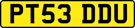 PT53DDU