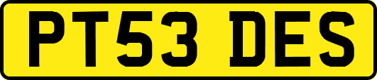 PT53DES