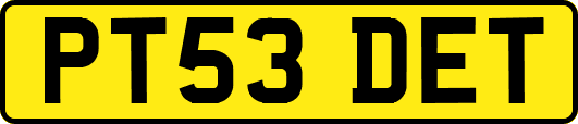 PT53DET