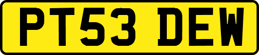 PT53DEW