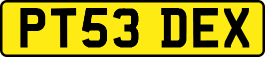 PT53DEX