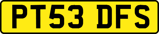 PT53DFS