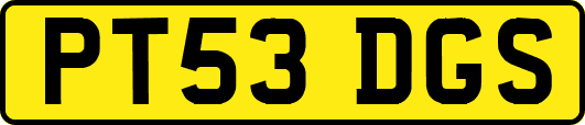 PT53DGS