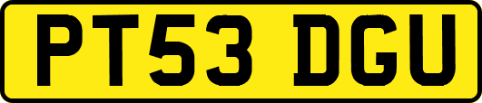 PT53DGU