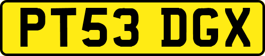 PT53DGX