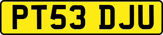 PT53DJU